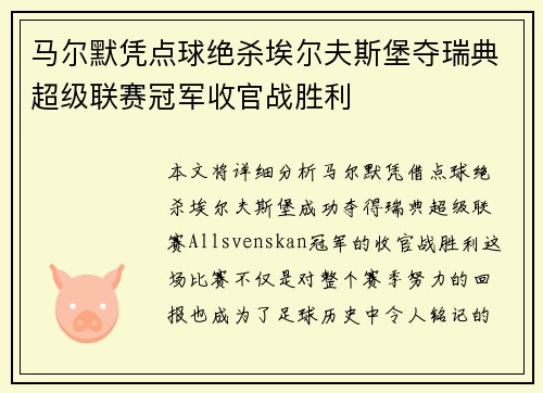 马尔默凭点球绝杀埃尔夫斯堡夺瑞典超级联赛冠军收官战胜利 马尔默凭点球绝杀埃尔夫斯堡夺瑞典超级联赛冠军收官战胜利